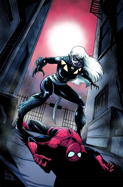 blackcat vs spiderman